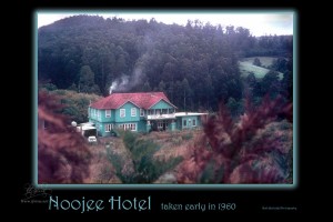 NoojeeHotel12x18